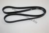 AUTOMEGA 30103160336 V-Ribbed Belts